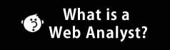 What is a Web Analyst?